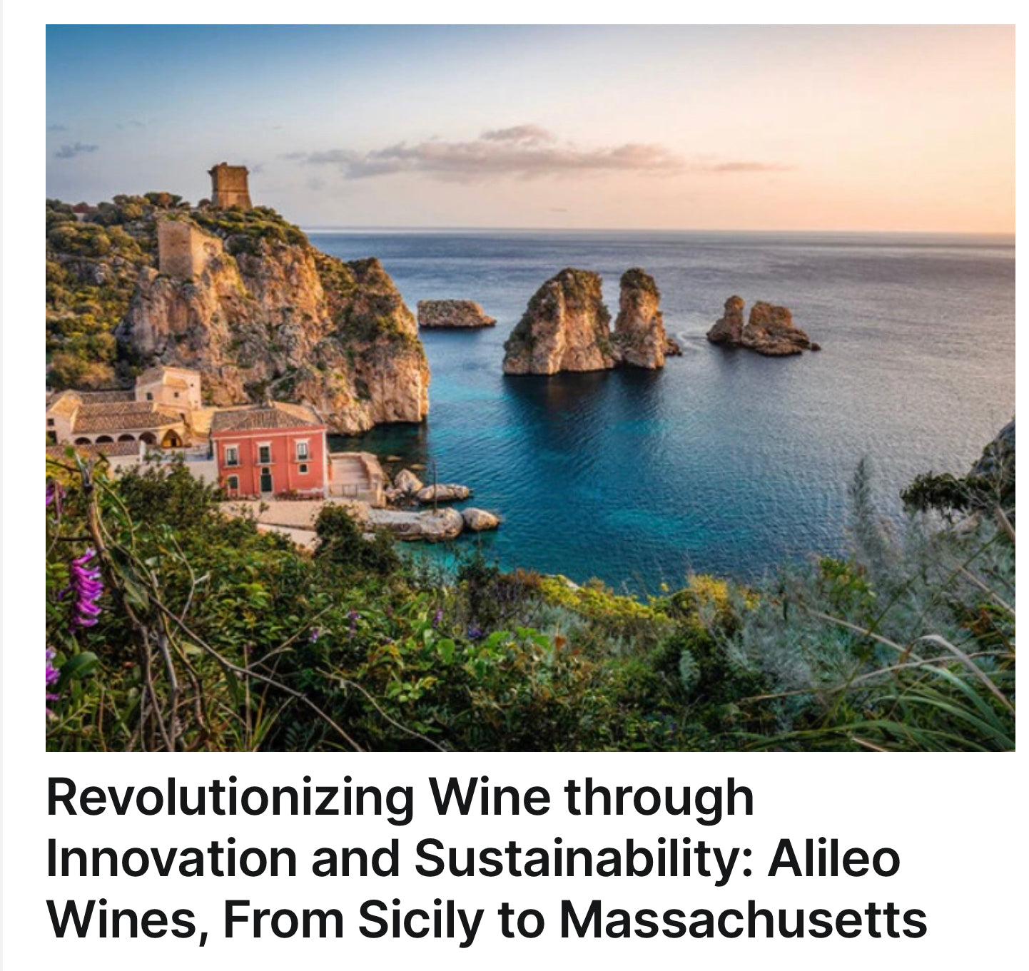 Revolutionizing Wine through Innovation and Sustainability: Alileo Wines, From Sicily to Massachusetts By Joe Campbell