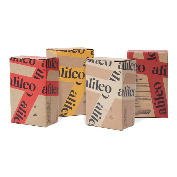 FestinaBox1080x1080_grande.png