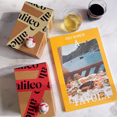 The 2025 Holiday Bundle